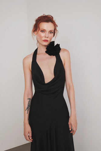 أيلا - بيكسي