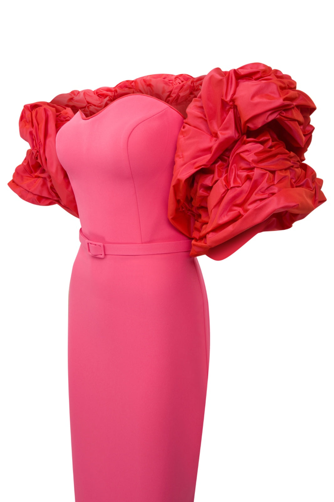 نور فتح الله 569