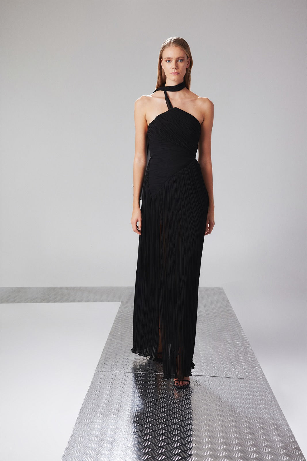 أيلا - سكارليت