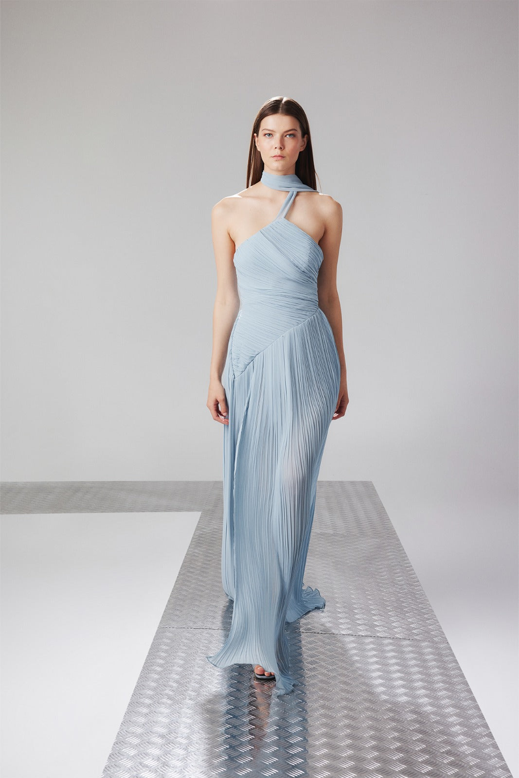 أيلا - سكارليت