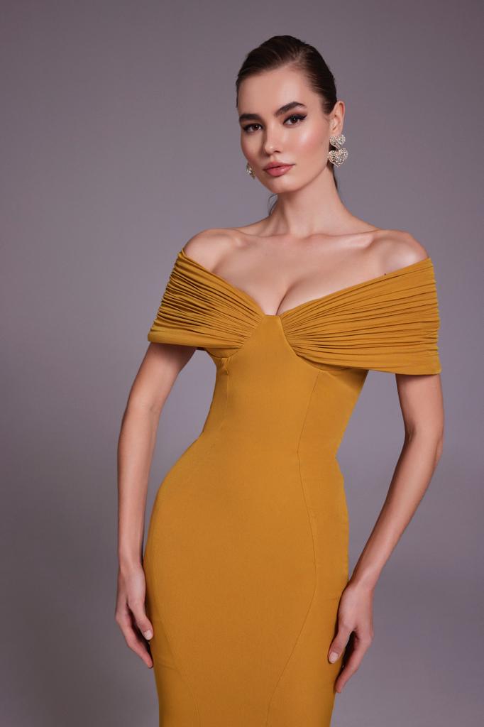 نور فتح الله 523أ